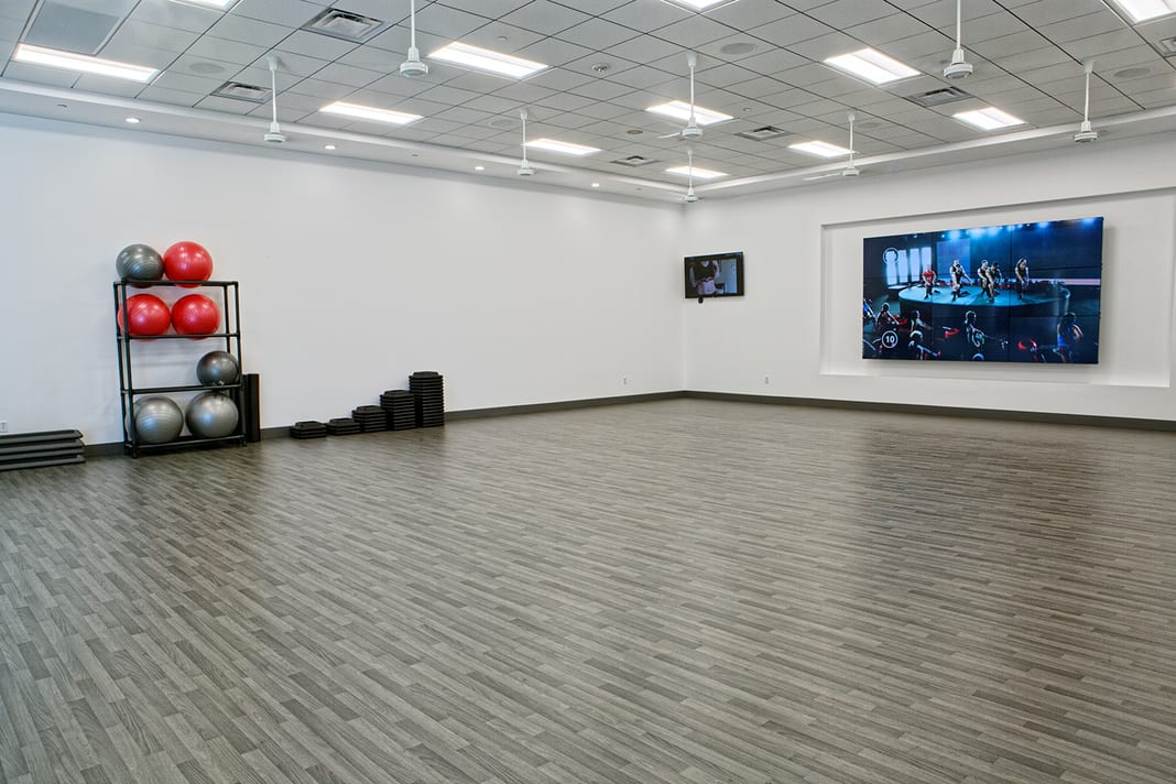 virtual workout program Alive By Raintree Studio in Fort Collins